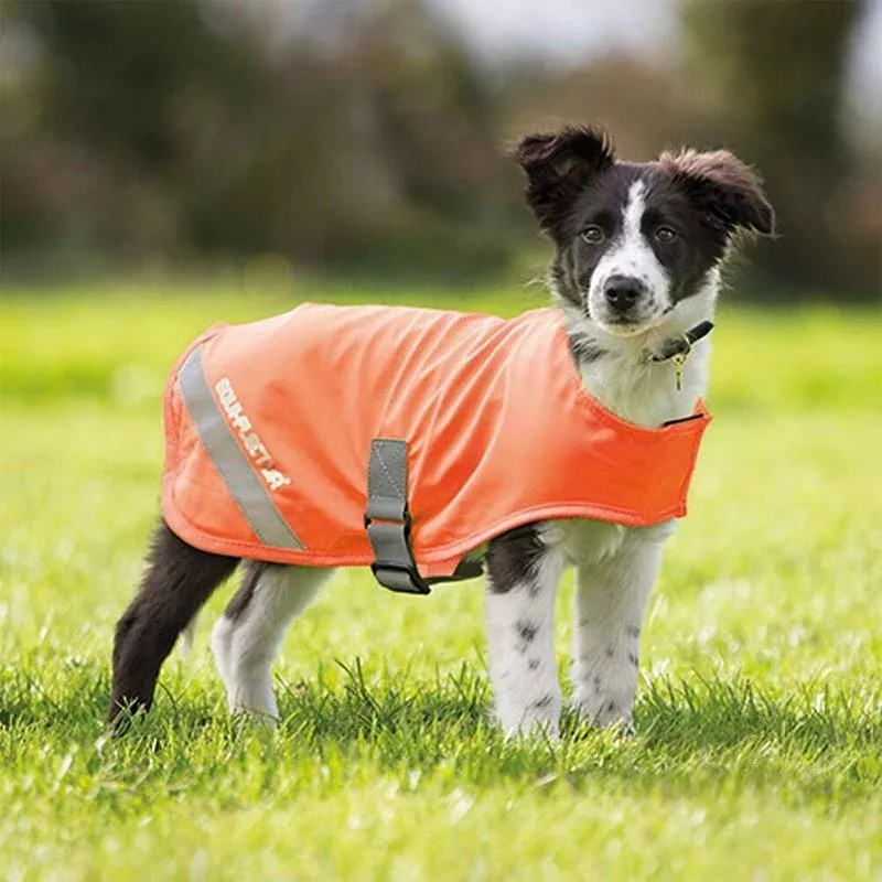 Shires Equi-Flector Dog Coat