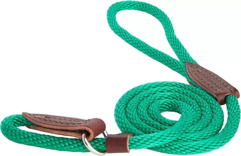 Slip Lead for Dogs