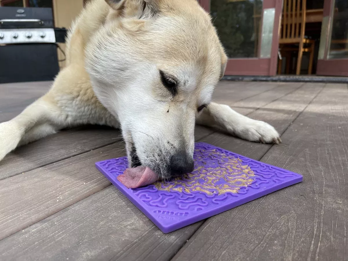 Soda PupBone Design Lick Mat