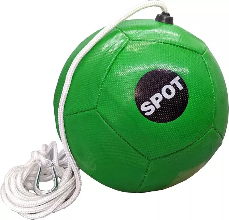 Spot Tether Ball Dog Toy With Rope