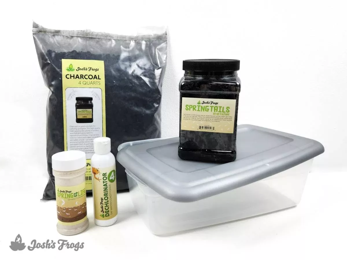 Spring Tail Culture Kit