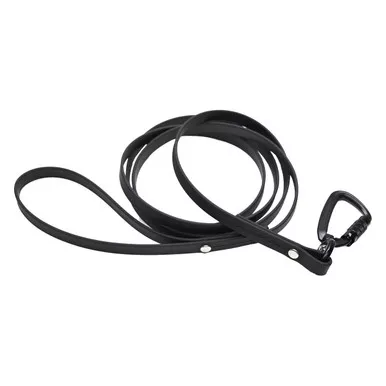 Standard Biothane Leash