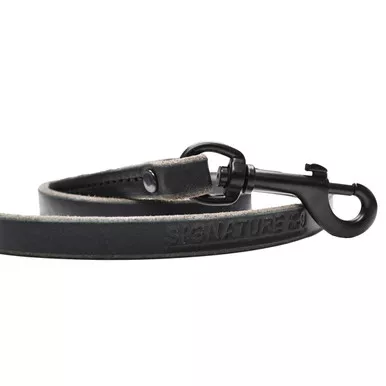 Standard Black Leather Leash with O-Ring