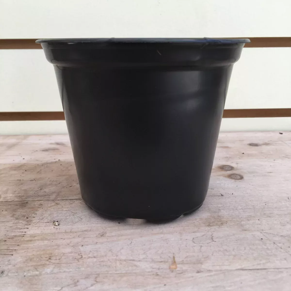 Starter Kit for Large Cuttings (2 Pots)