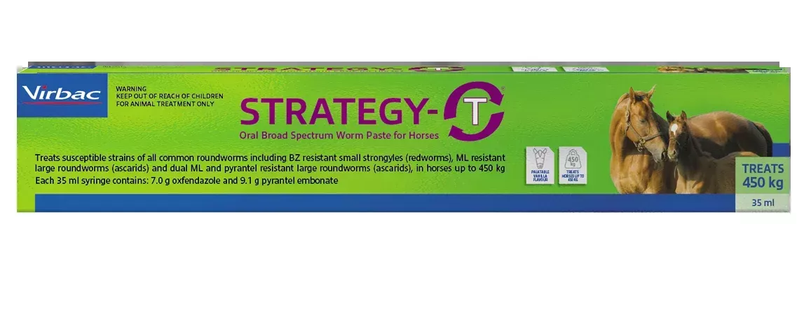 Strategy-T