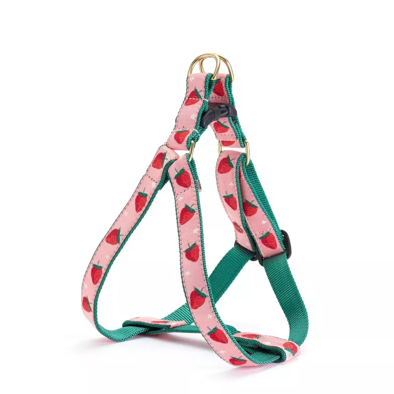 Strawberry Fields Harness