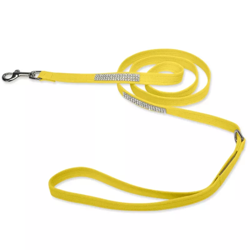 Susan Lanci Sunshine Lead