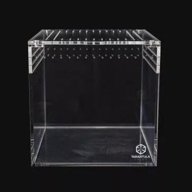 TC 6" TARANTULA CUBE