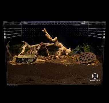 TC TERRESTRIAL XL