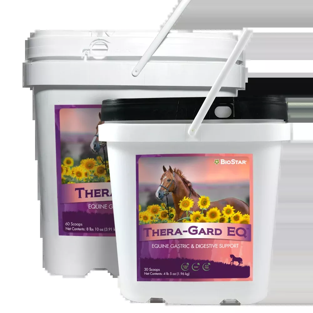 Thera-Gard EQ