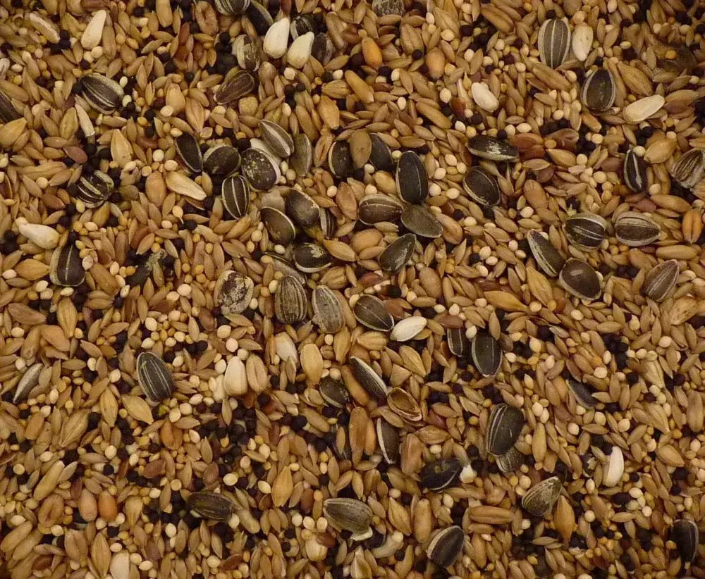 Topflite Aviary Mix
