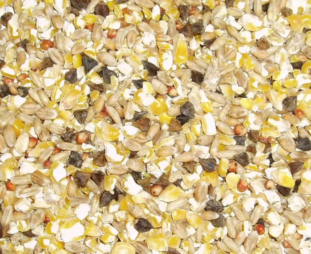 Topflite Dove Mix