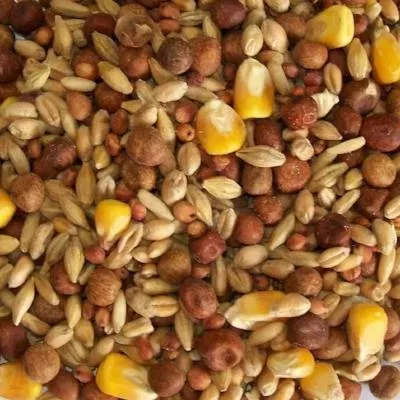 Topflite Pigeon Mix