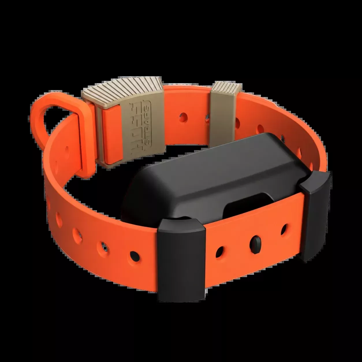 Training Collar Setup