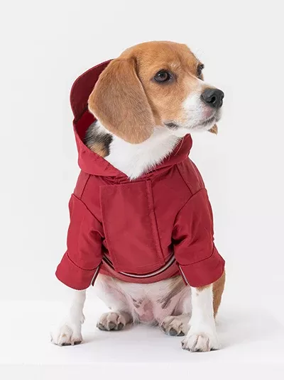 Tribeca adjustable velcro raincoat -Burgundy