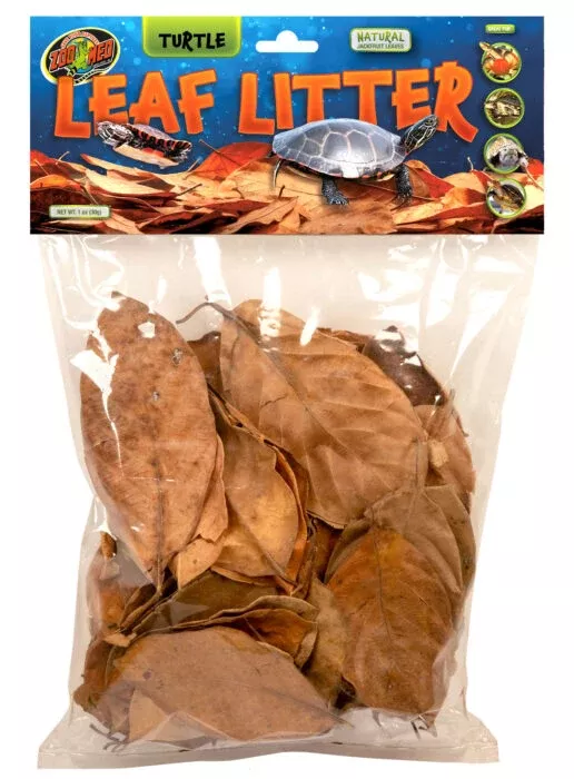 Turtle Leaf Litter