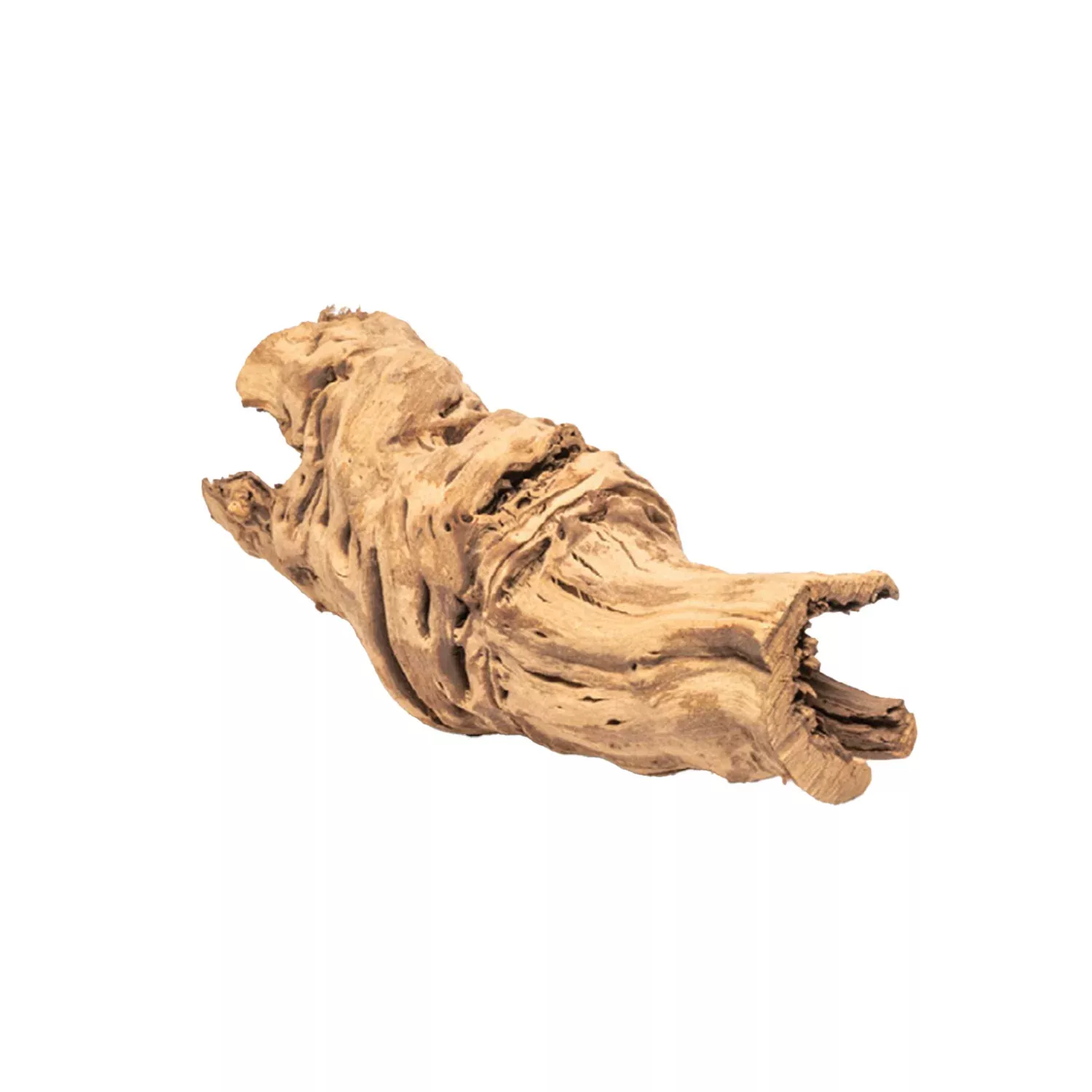 UNDERWATER TREASURES - Grapewood Log