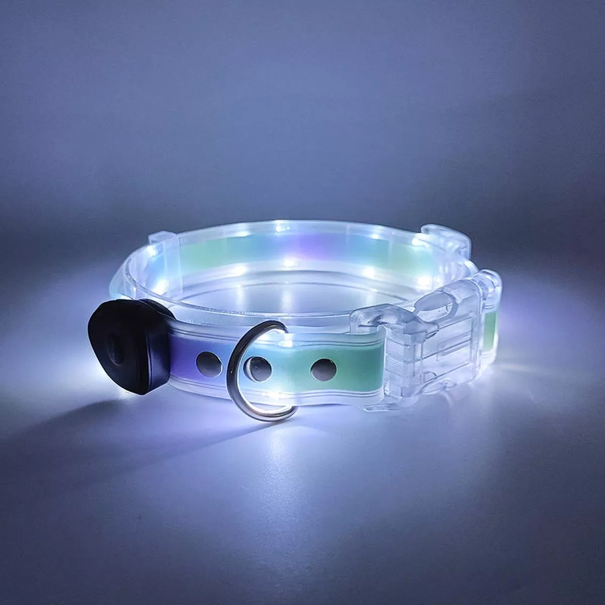 USB Rechargeable LED Dog Collar with Leash