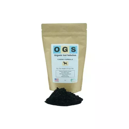 VertiCarb | Organic Gut Solution Canine - 6 oz
