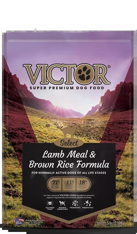 Victor Lamb Meal & Brown Rice Formula