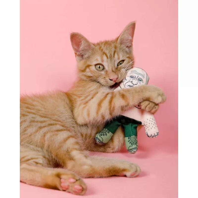 Vladimir Putin cat toy