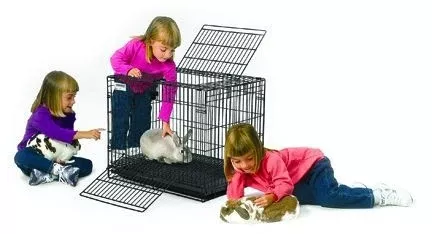 Wabbitat Rabit Habitat