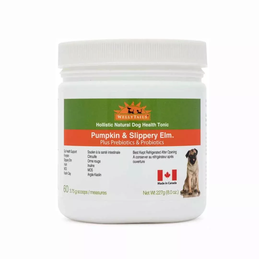 WellyTails Pumpkin & Slippery Elm with Probiotics & Prebiotics