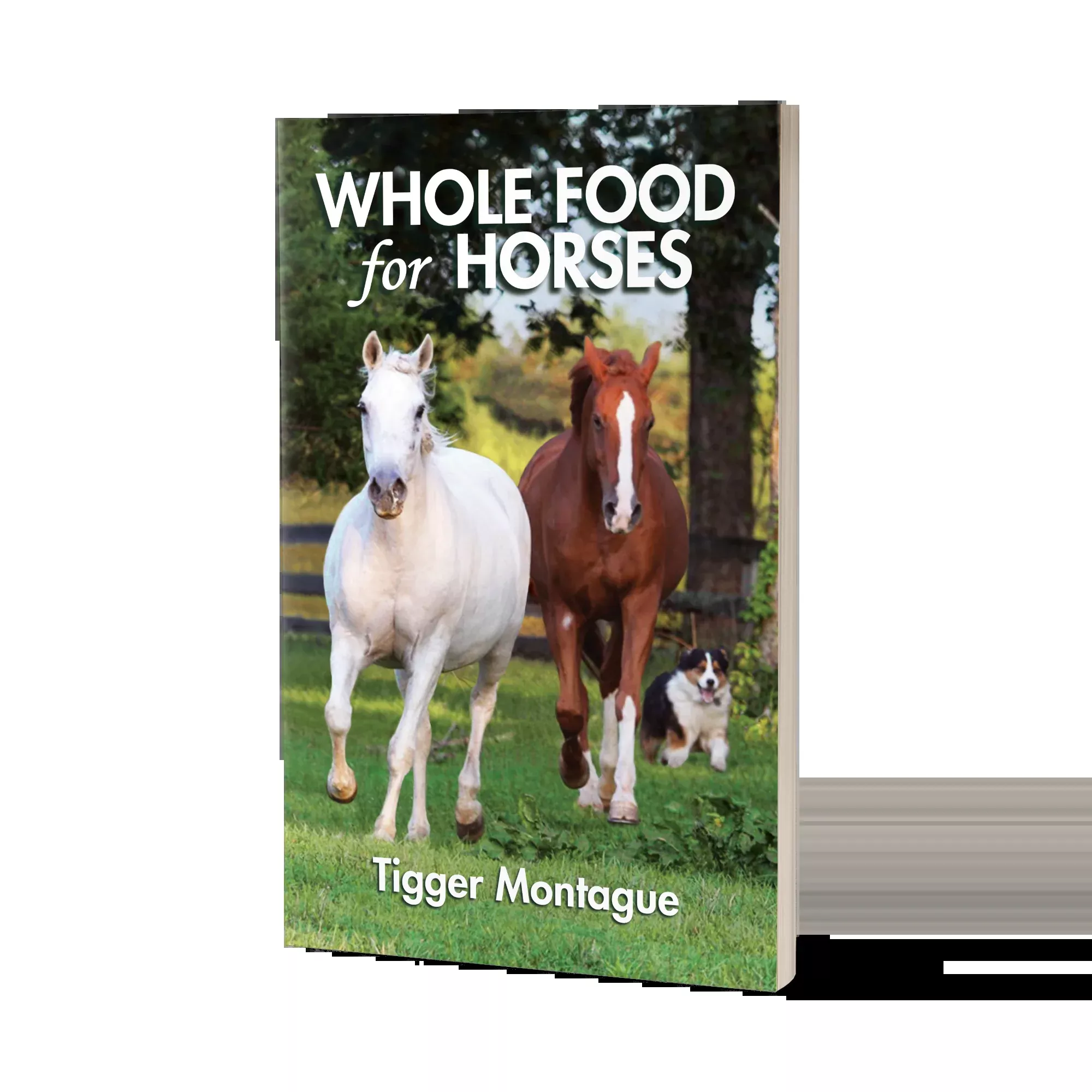 Whole Food For Horses