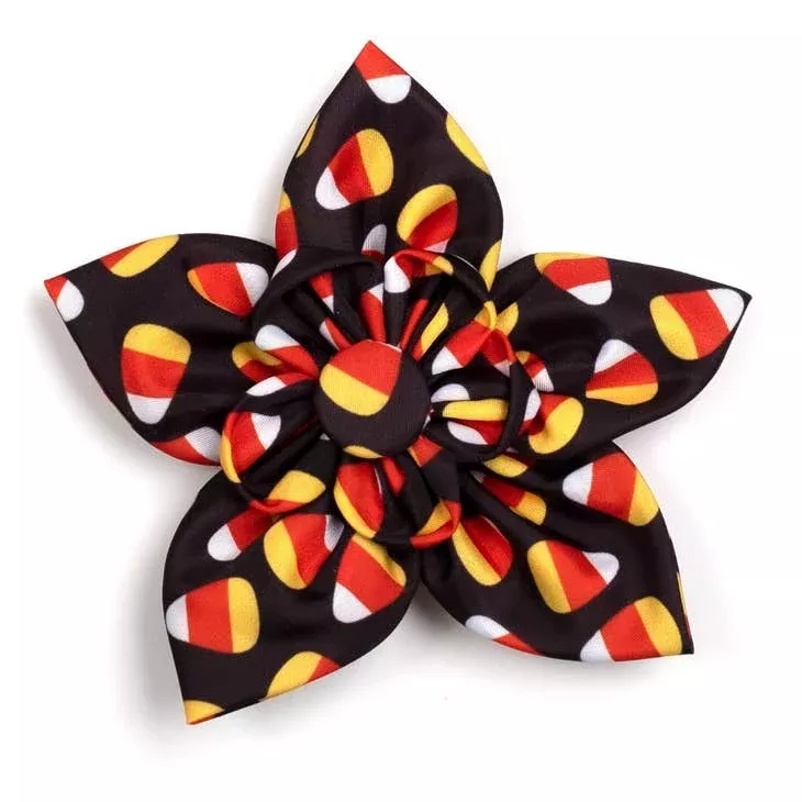 The Worthy Dog Candy Corn Collection Flower