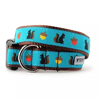 The Worthy Dog Squirrelly Collection Collars