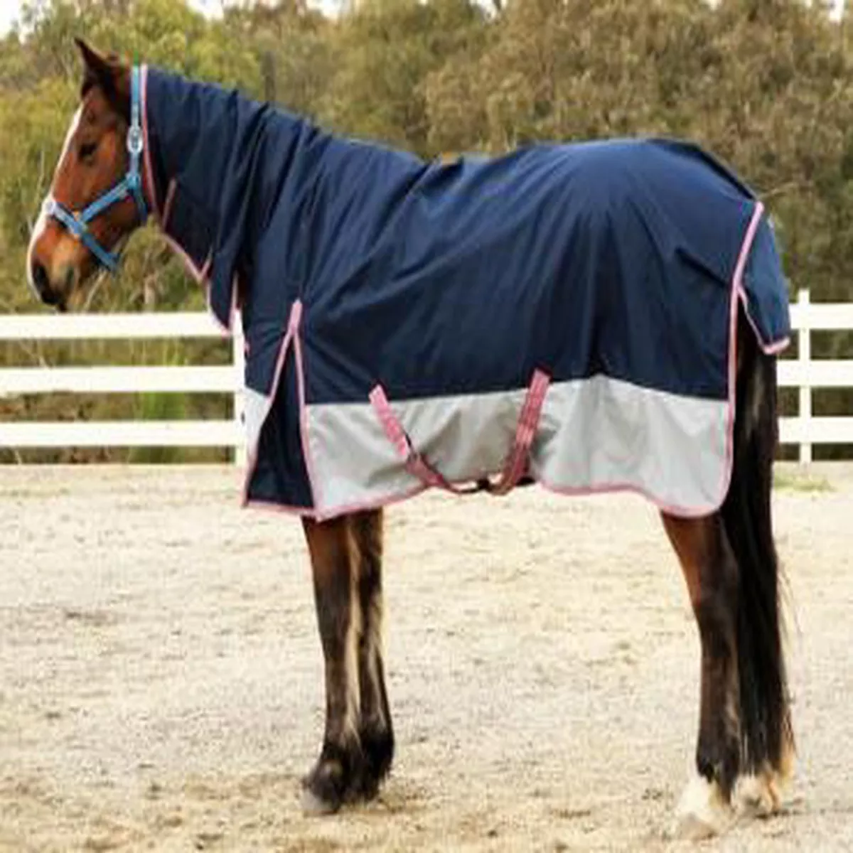 X-Calibur combo rug