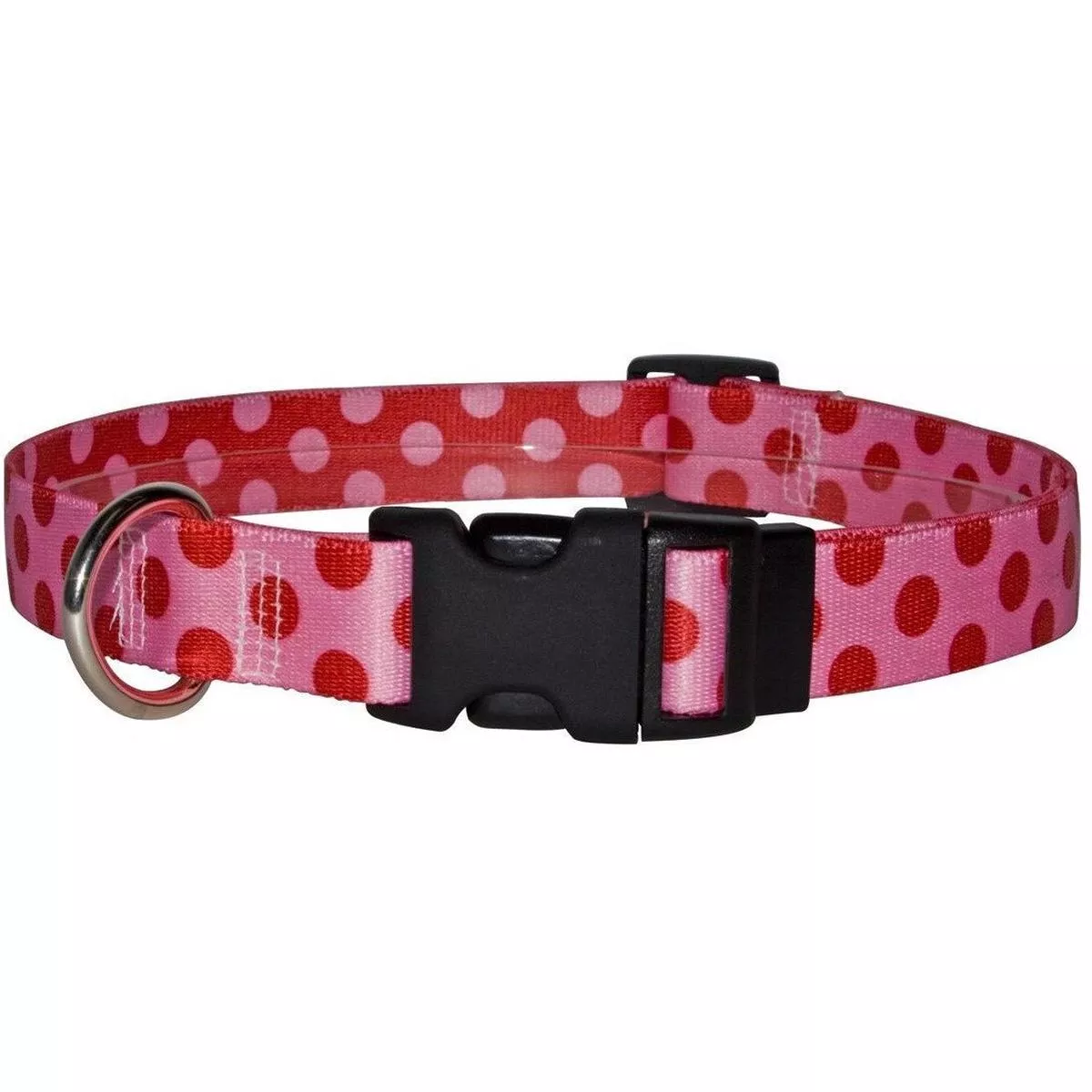 Yellow Dog Design – Valentine Polka Dot Collar