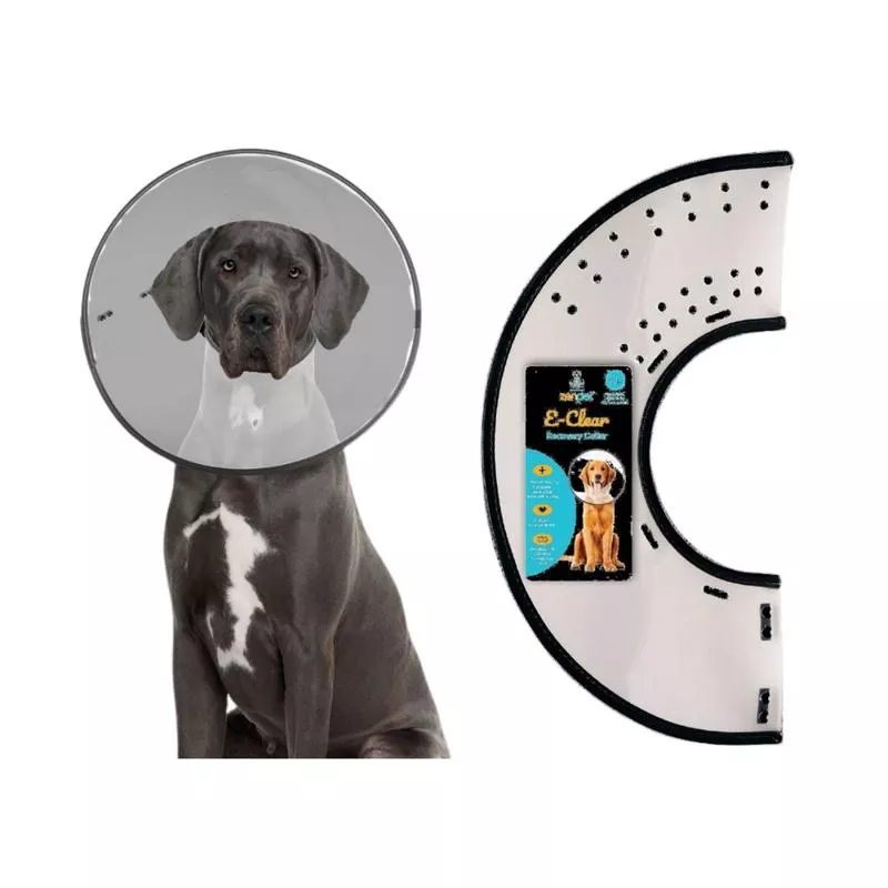 Zenpet E-Collar Clear Medium