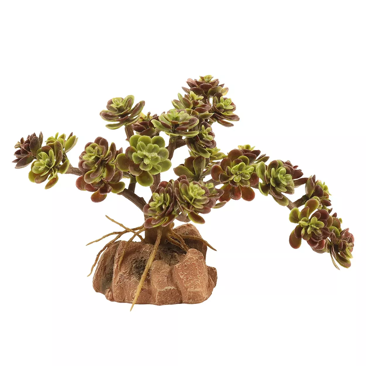 ZOO MED - Naturalistic Desert Flora - Red Leaf Stonecrop