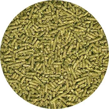 Zoomed Iguana Food Juvenile Formula 40oz