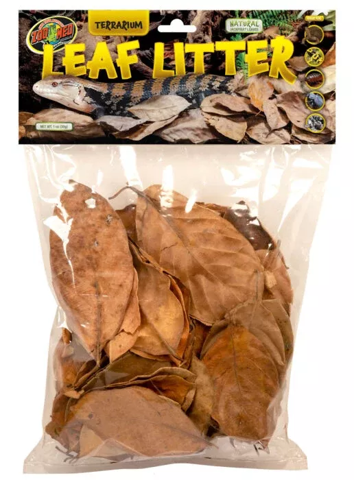 Zoomed Terrarium Leaf Litter